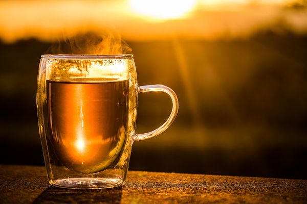 Rewitalizacja ciała na co dzień - moc herbaty konopnej