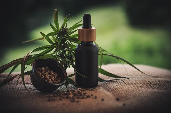 Twoje kompendium wiedzy o zdrowotnych korzyściach wynikających z terpenów